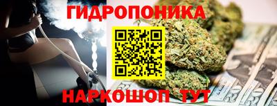прущие грибы Славгород