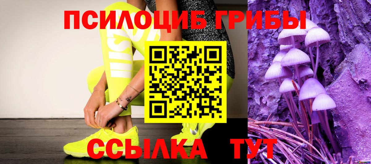 Псилоцибиновые грибы GOLDEN TEACHER Бахчисарай