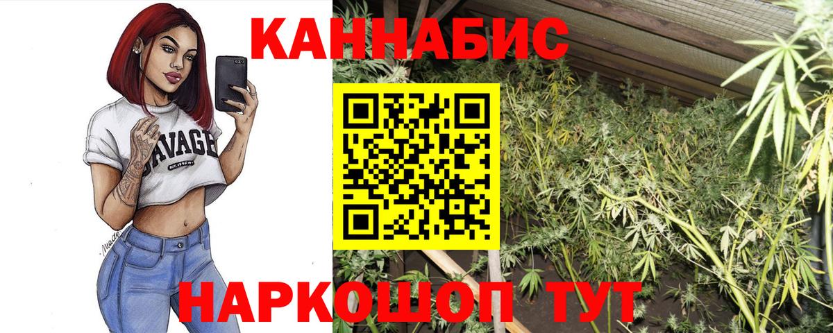 Конопля White Widow  Бошки Шишки SATIVA & INDICA  Вход с VPN  Конопля Ganja  Бахчисарай  Бошки Шишки White Widow 